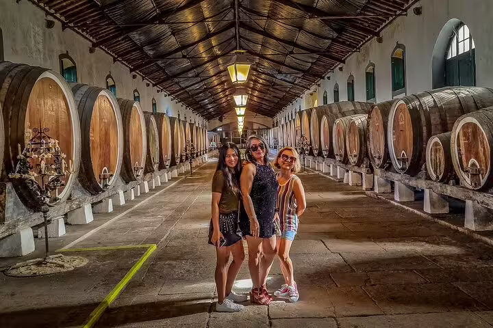 Visitors explore a historic wine cellar with large wooden barrels during a wine tasting tour in Arrabida, near Lisbon.