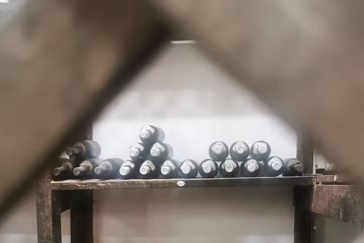 A collection of vintage wine bottles on a rustic shelf in Arrabida, showcasing the charm of a Lisbon wine tasting tour.