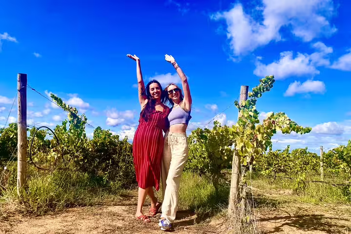 Two women enjoying a sunny day in a vineyard during a private Setúbal and Arrábida wine tour from Lisbon.