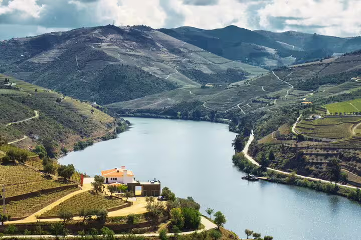 Scenic view of the Douro Valley's rolling vineyards and river, showcasing the picturesque landscape on a Lisbon to Douro Valley private journey.