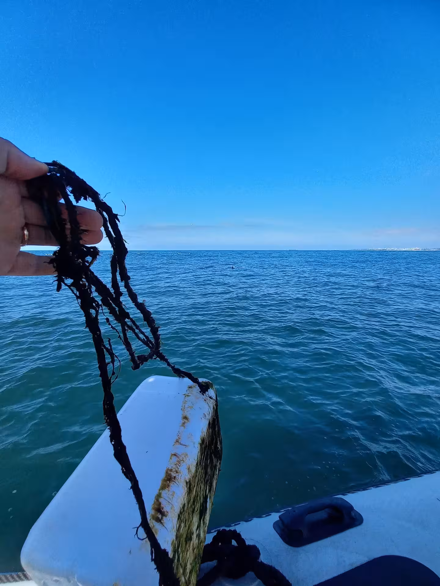 Guest holds recovered marine litter on Lisbon plastic pickup and boat tour, eco-friendly Tagus River cruise