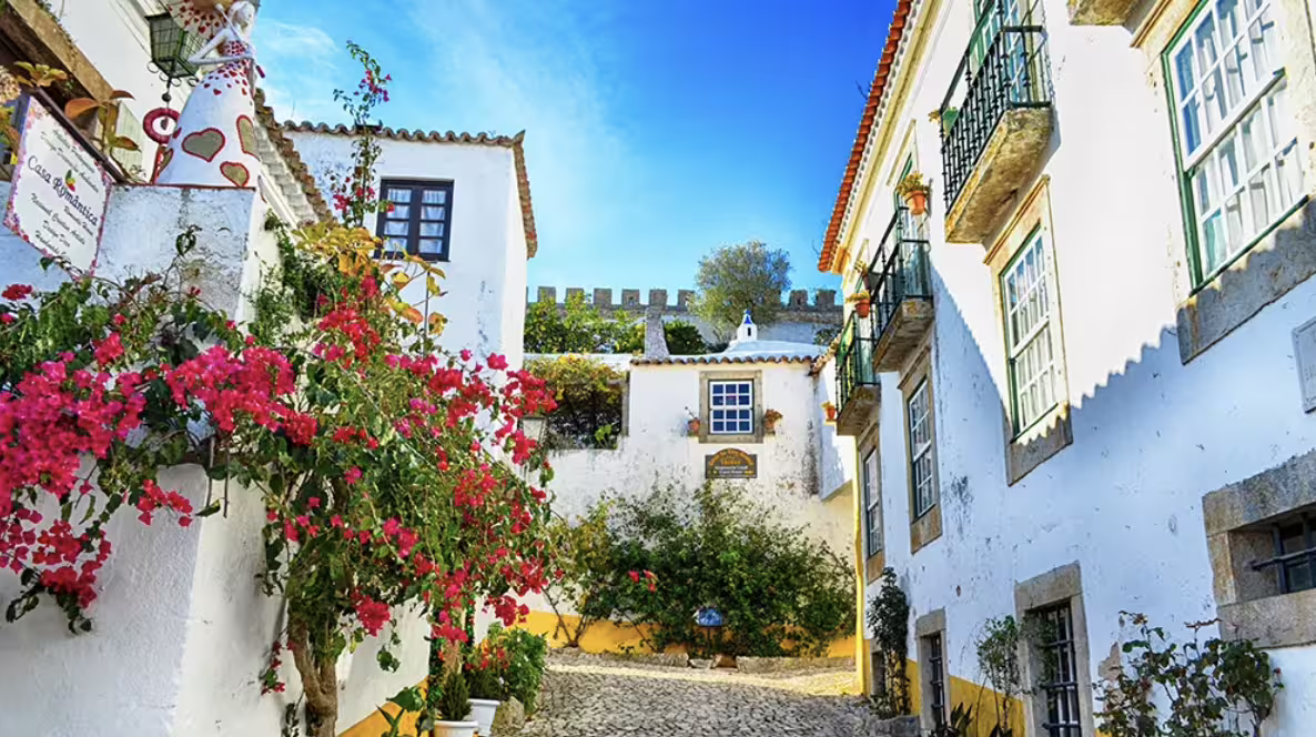 Explore vibrant floral-adorned alleys and historic buildings on a scenic Lisbon to Porto day trip.