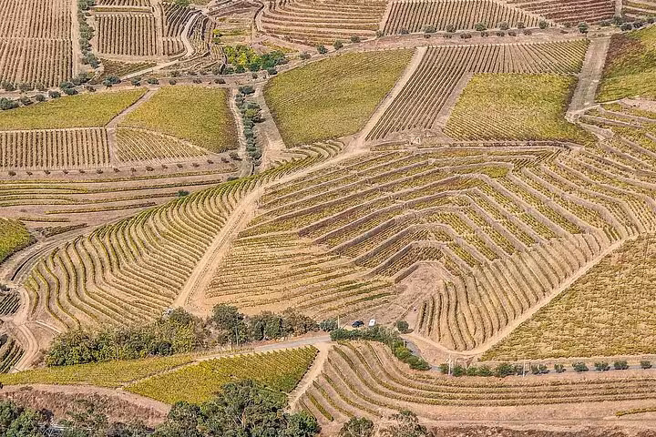 Terraced vineyards in Portugal’s Douro Valley on Lisbon to Porto tour, showcasing iconic wine region landscapes