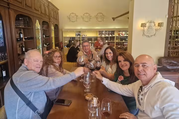 Travelers clinking glasses at Douro Valley winery tasting, part of Lisbon to Porto ride with wine experience