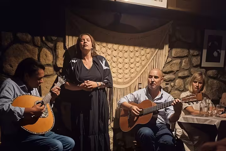 Lisbon Fado show with live guitarists and singer during private tour dinner and wine tasting experience