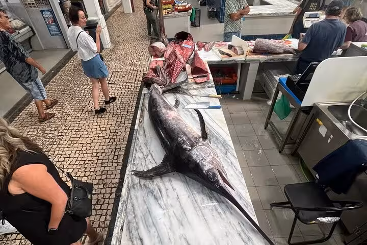 Fresh seafood market stop in Lisbon with whole fish on marble counter, part of all-inclusive wine & food tour