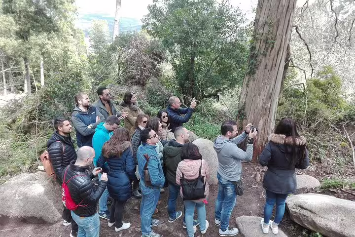 A group of tourists explores the lush forest in Sintra during a private two-day tour of Lisbon, Sintra, Roca, and Cascais.