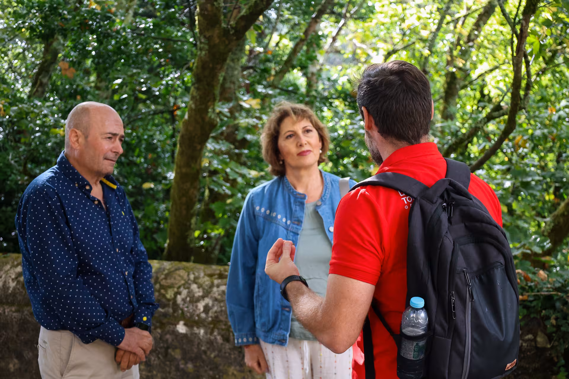 Tour guide explaining Sintra's lush landscape to a small group during the Lisbon Sintra Pena Palace tour.