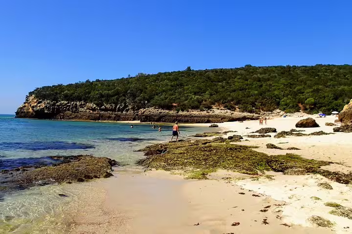 Scenic beach view on Lisbon's south coast, showcasing serene turquoise waters and lush greenery, ideal for a wine and sights tour.