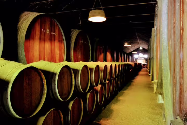 A dimly-lit wine cellar in Lisbon filled with stacked wooden barrels, highlighting the wine aspect of the Lisbon Surf & Wine tour.
