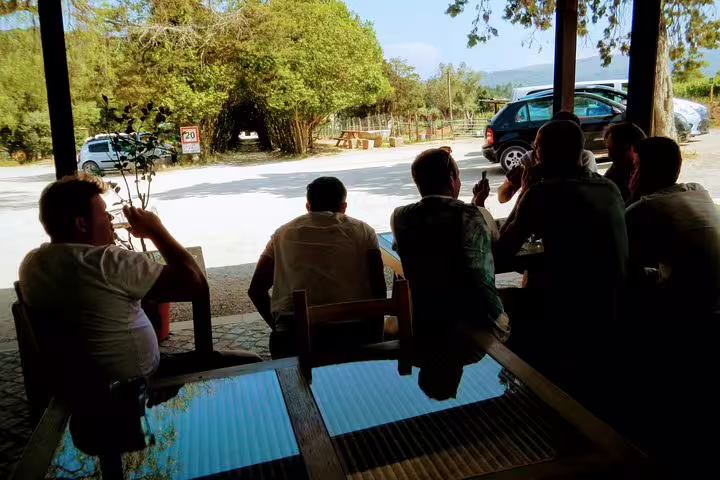 People enjoying a relaxed outdoor wine tasting experience at a scenic Lisbon vineyard, perfect for surf and wine enthusiasts.