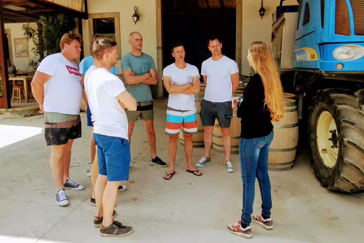 A group of tourists listens to a guide during a wine tour at a vineyard near Lisbon, featuring an outdoor farm setting.