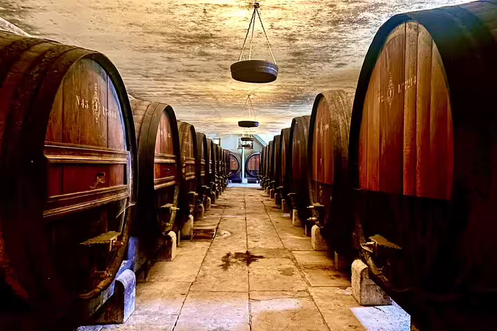 Rows of large wooden wine barrels in a rustic cellar, showcasing the authentic Setúbal wine experience on a Lisbon day tour.