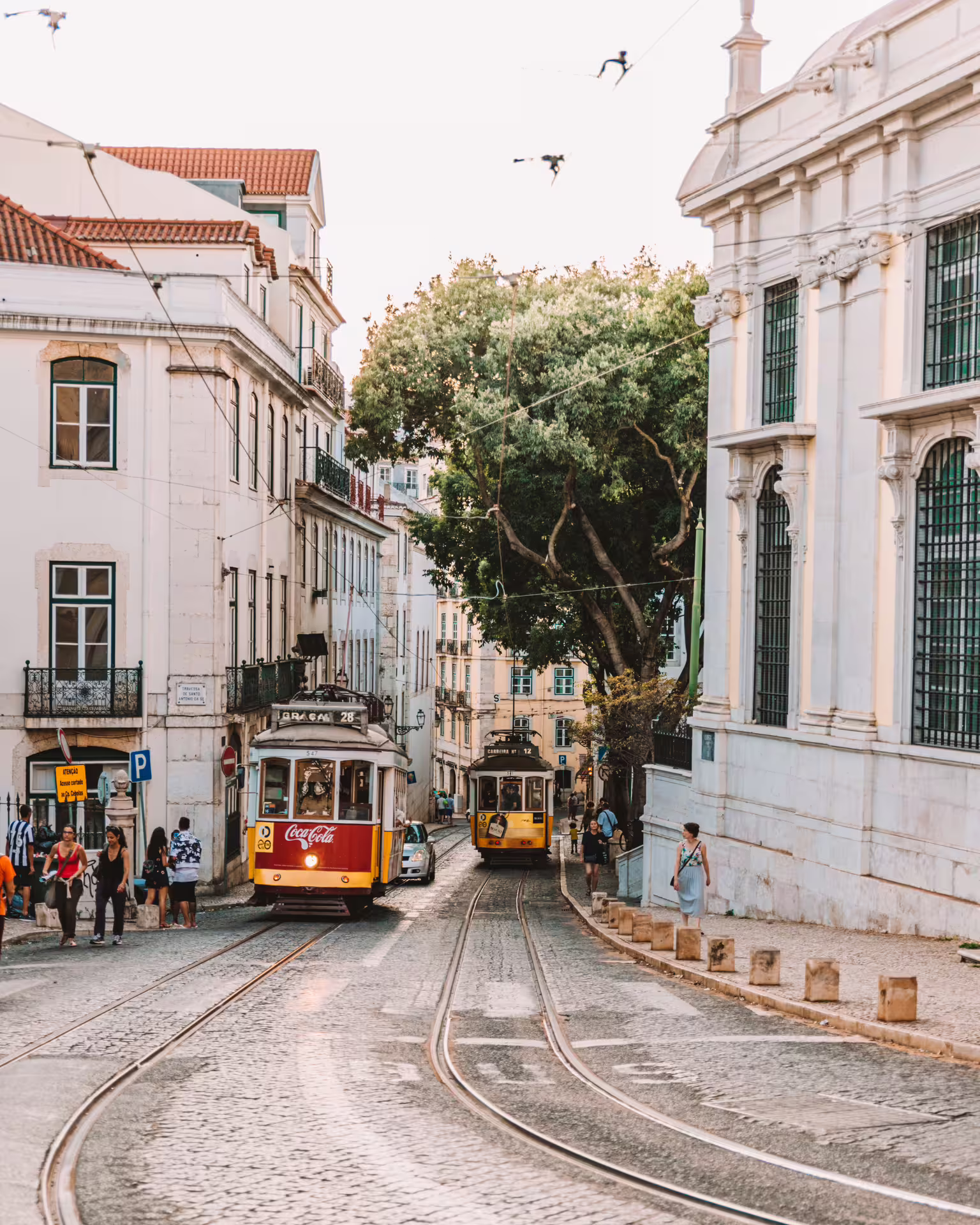 Lisbon's iconic yellow trams navigate historic streets, offering a glimpse into the city's vibrant culture and architecture.
