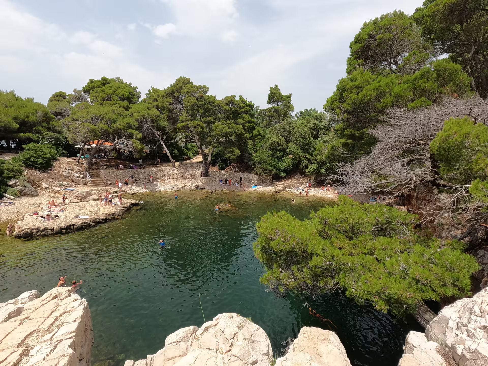 Lokrum Island cove with swimmers and pine trees, stop on Game of Thrones Dubrovnik 3 hour tour