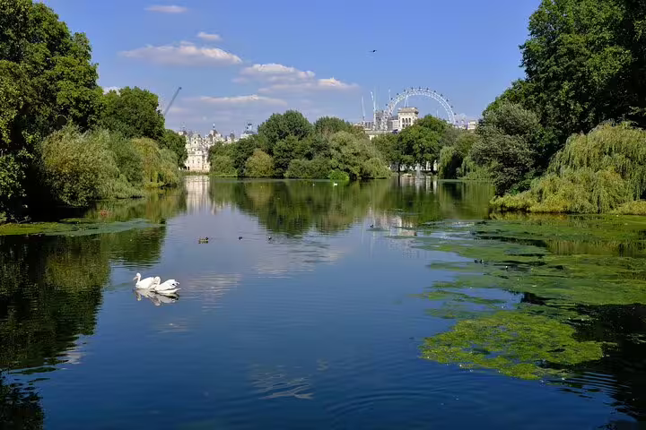 View of St. James's Park lake with swans, lush greenery, and the London Eye in the background on a sunny day.