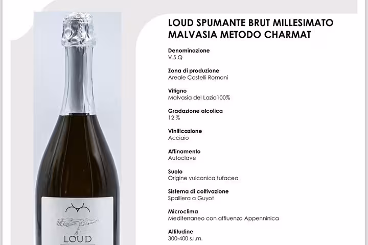 Bottle of Loud Spumante Brut Millesimato Malvasia Metodo Charmat with detailed wine information on the label.
