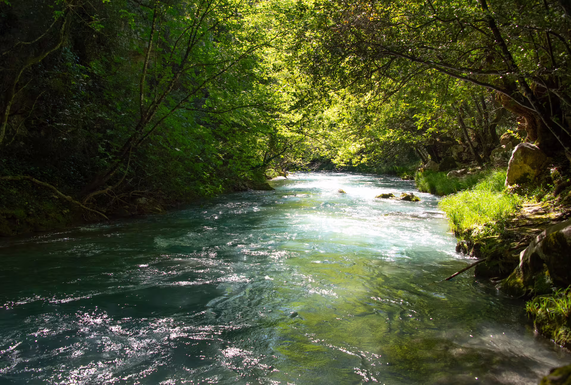 Crystal-clear river under lush forest, scenery on Lousios and Alfeios rafting tour in Peloponnese Greece