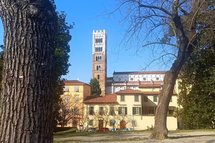 Historic tower and pastel buildings framed by trees in Lucca’s old town on a private Pisa and Lucca excursion