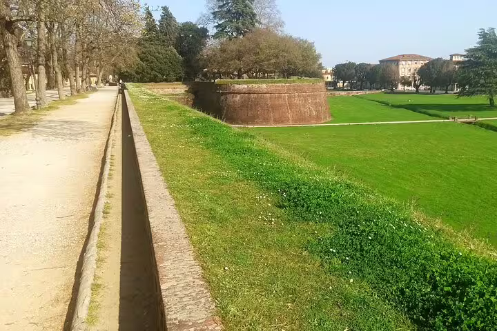 Scenic walk along Lucca’s Renaissance city walls and green parklands on a private Pisa and Lucca tour with Tuscan lunch