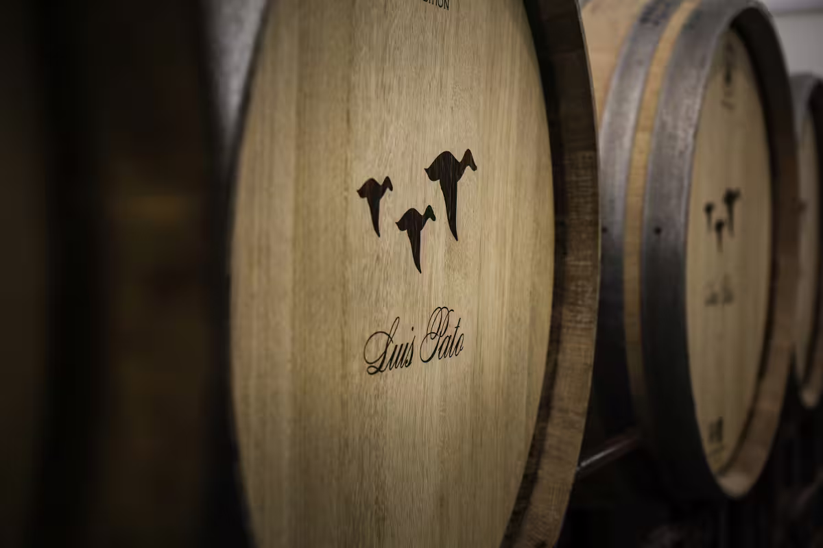 Close-up of wooden wine barrels at Luis Pato cellar, highlighting a key stop on the Aveiro private tour with sparkling wine tasting.