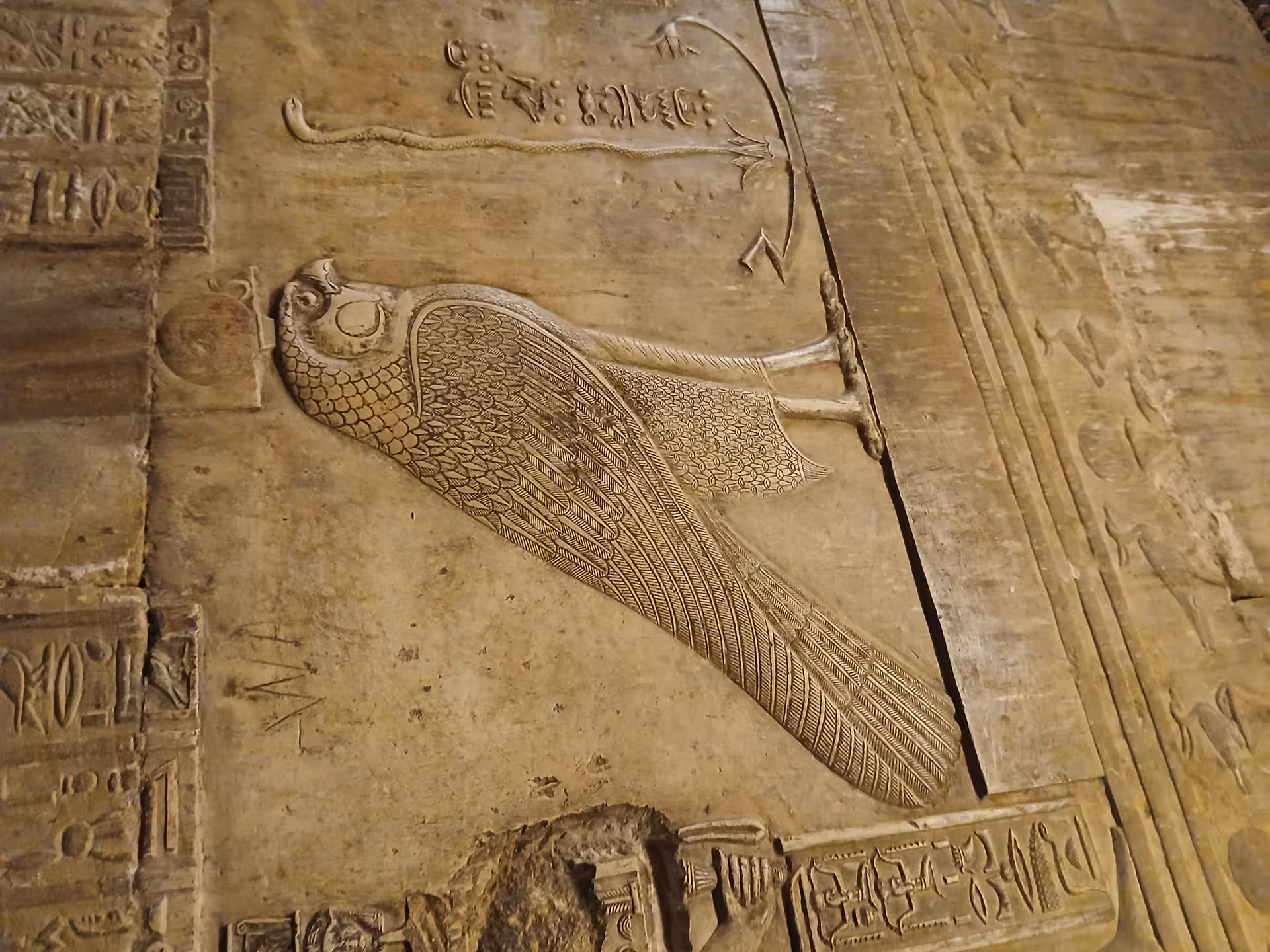 Detailed carving of a falcon on temple walls in Luxor, representing ancient Egyptian symbolism.