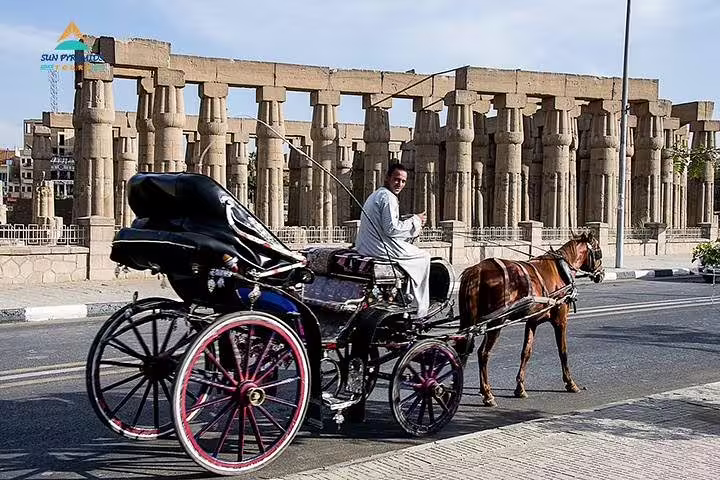 Horse-drawn carriage in Luxor by Karnak Temple, Egypt city tour ride with traditional calèche and driver