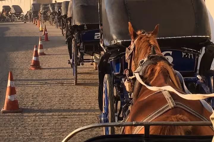 Line of horse carriages waiting in Luxor for Nile Corniche city tour, traditional ride with local drivers
