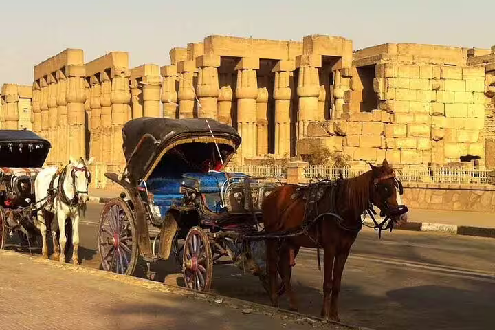 Traditional horse carriage parked by Luxor Temple ruins, West Bank Luxor city tour photo stop