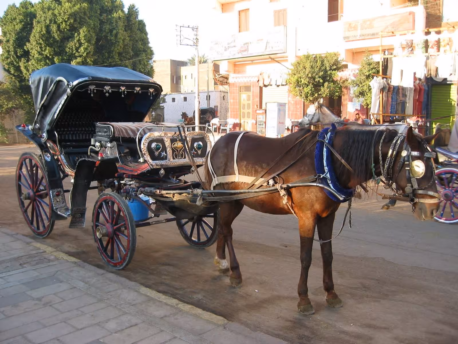 Traditional horse-drawn carriage in Luxor street, ideal for a 3-hour guided horse carriage tour in Egypt