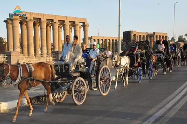 Luxor city tour by horse carriage passing Karnak Temple columns, Egypt sightseeing ride with local driver