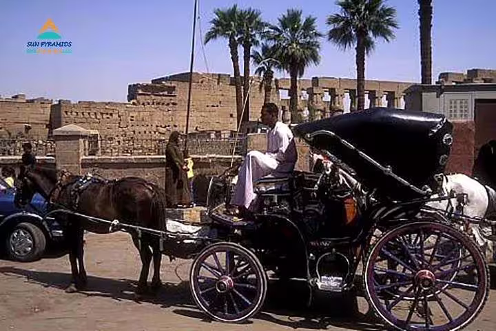 Traditional horse carriage tour in Luxor, Egypt, with Karnak Temple ruins and palm trees in the background