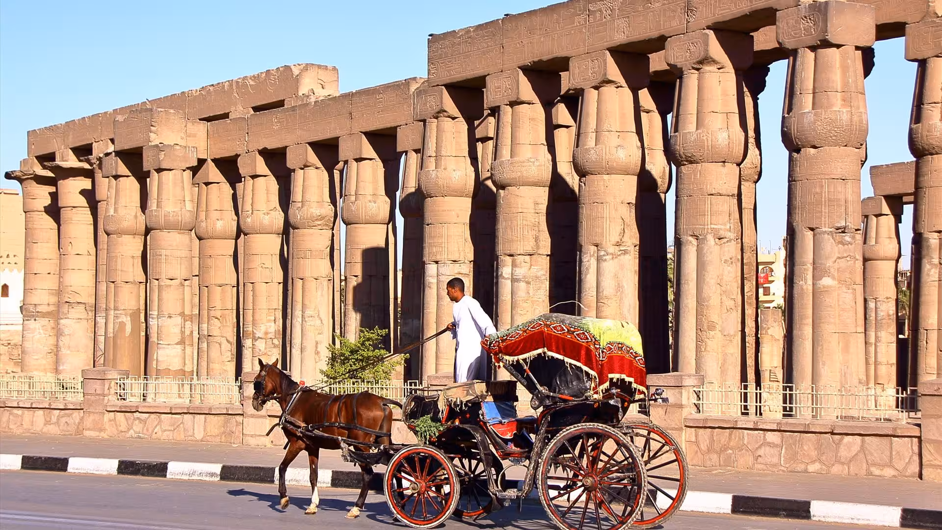 Horse-drawn carriage passing Luxor Temple columns on a 3-hour Luxor horse carriage tour in Egypt