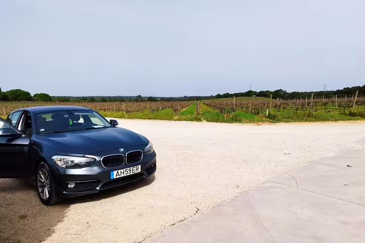 Luxury car parked in a scenic vineyard setting during a private full-day Setúbal and Arrábida wine tour from Lisbon.