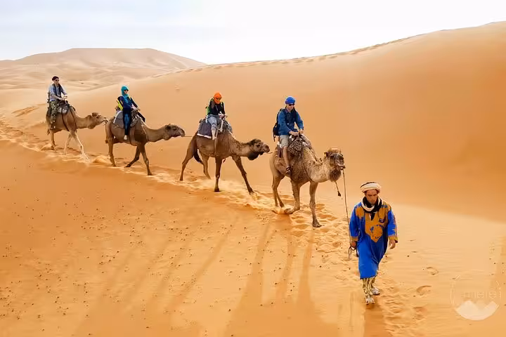 Travelers on camel caravan through golden dunes on Fes to Marrakech luxury desert tour.