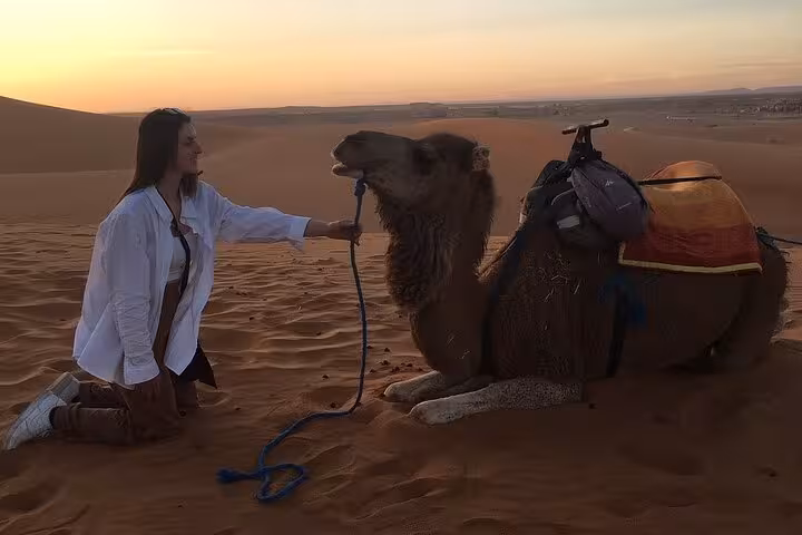 Traveler kneeling beside a resting camel at sunset on a luxury desert tour in Sahara, Morocco.