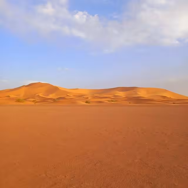 Expansive view of the serene and sunlit sand dunes in the Erg Chebbi desert, perfect for a luxury tour experience.
