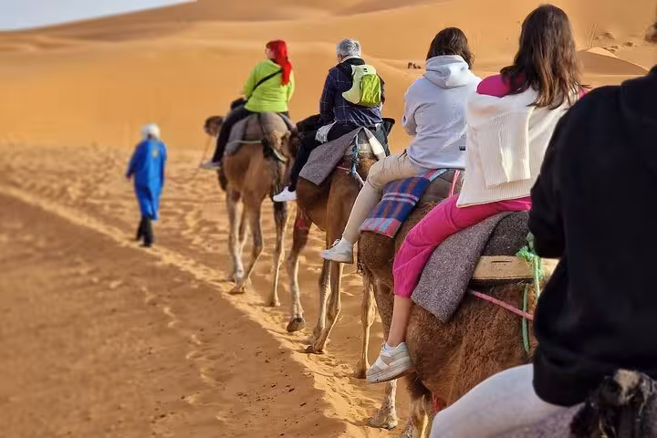 Travelers on camels traverse the golden sands of the Sahara Desert during a luxury Morocco tour from Fes.