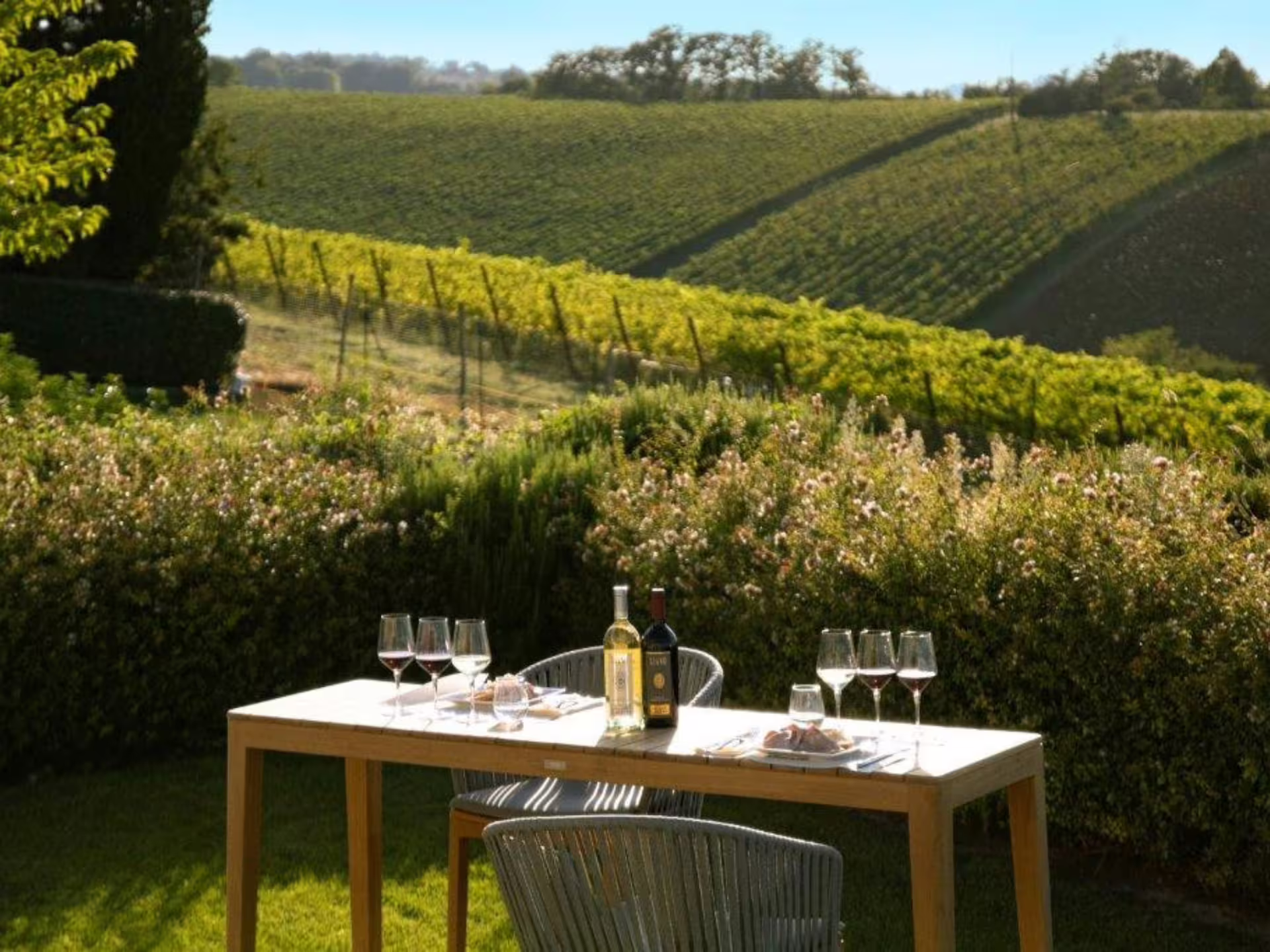 Scenic vineyard view with a set table featuring wine glasses and bottles, perfect for a wine tasting near Bologna.