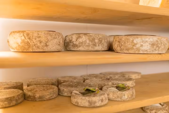 Aging wheels of traditional French cheese on wooden shelves in Lyon, featured in a private food tour.