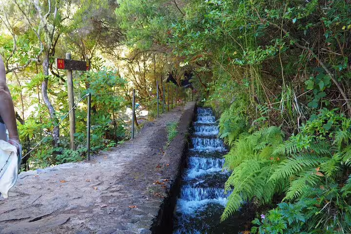 Lush green levada trail with cascading water in Madeira's 25 Fontes & Risco, perfect for a self-guided hike.