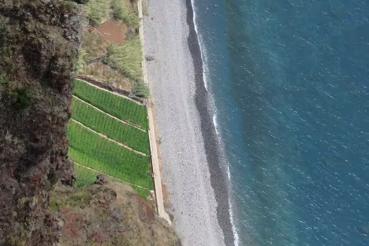 Aerial view of Madeira's rugged coastline with terraced vineyards, capturing the scenic beauty of the guided 4x4 adventure tour.
