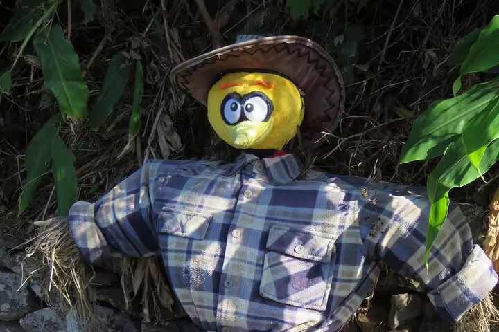 A quirky scarecrow with a yellow cartoon face and plaid shirt adds charm to the scenic 4x4 adventure in Madeira's lush landscapes.
