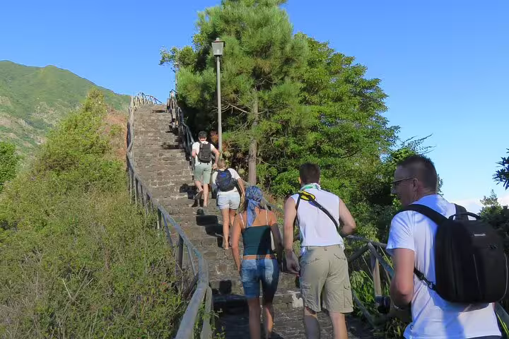 Tourists climb a scenic stone staircase surrounded by lush greenery on a guided 4x4 adventure in Madeira.