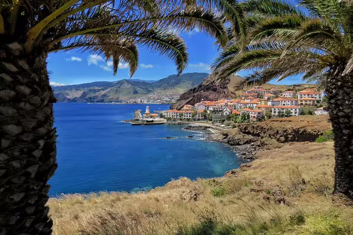 Scenic Madeira coastline with palm trees, vibrant village, and azure ocean, perfect for 4x4 rides, hiking, swimming, and boat trips.