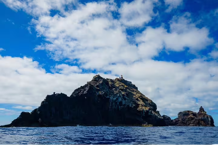 Scenic view of Madeira's rugged coastline from the ocean, ideal for a 4x4 adventure, hiking, swimming, and boat trip experience.