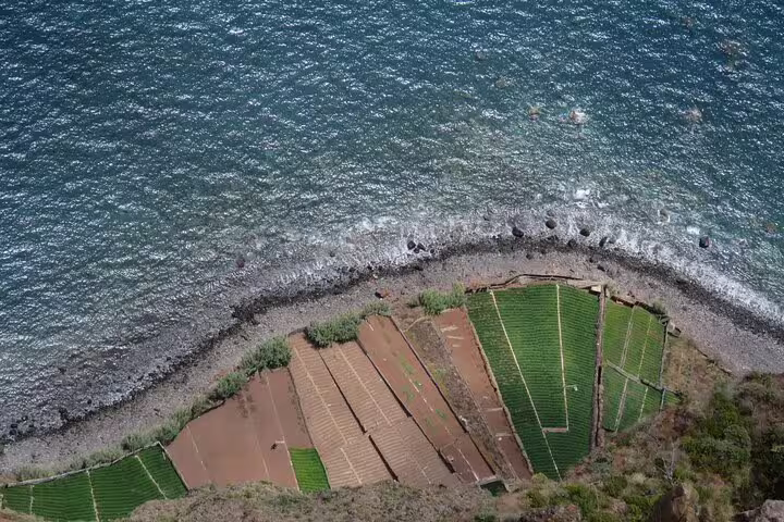 Aerial view of Madeira's stunning coastline with terraced vineyards meeting the shimmering Atlantic Ocean, perfect for a skywalk and wine tour.