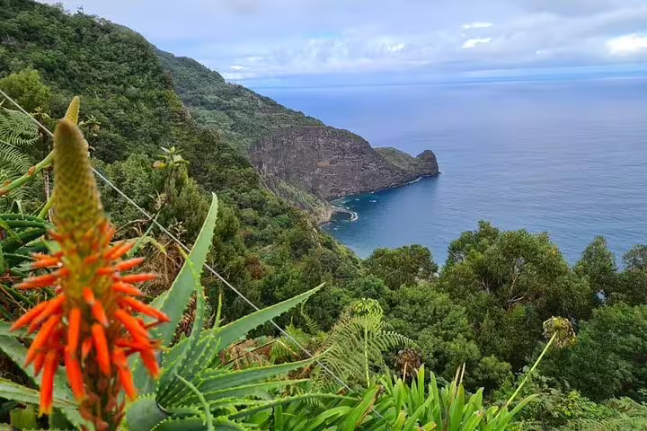 Lush green cliffs with vibrant orange flowers overlooking the expansive Atlantic Ocean on Madeira's eastern tour.