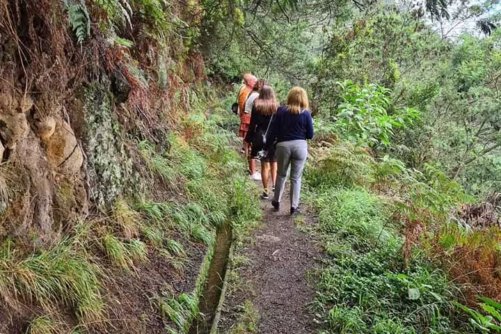 Hikers exploring lush forest trails on a scenic full-day tour east of Madeira.