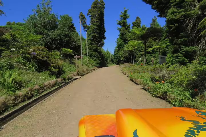 Scenic Madeira guided tour from Funchal featuring vibrant landscapes and lush greenery from an open-top vehicle.